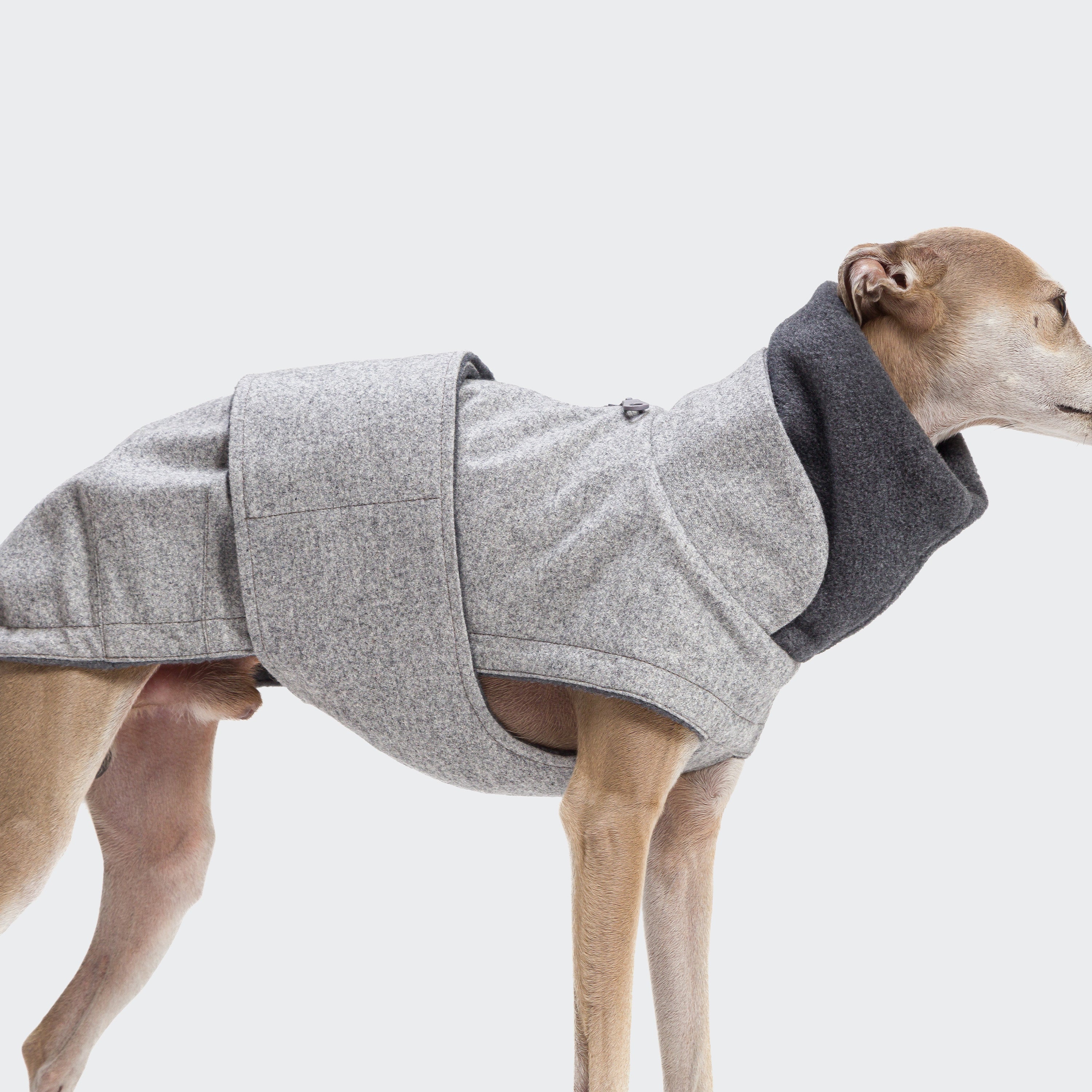 BROOKLYN Italian Greyhound Flannel-jakki Grey - Móri