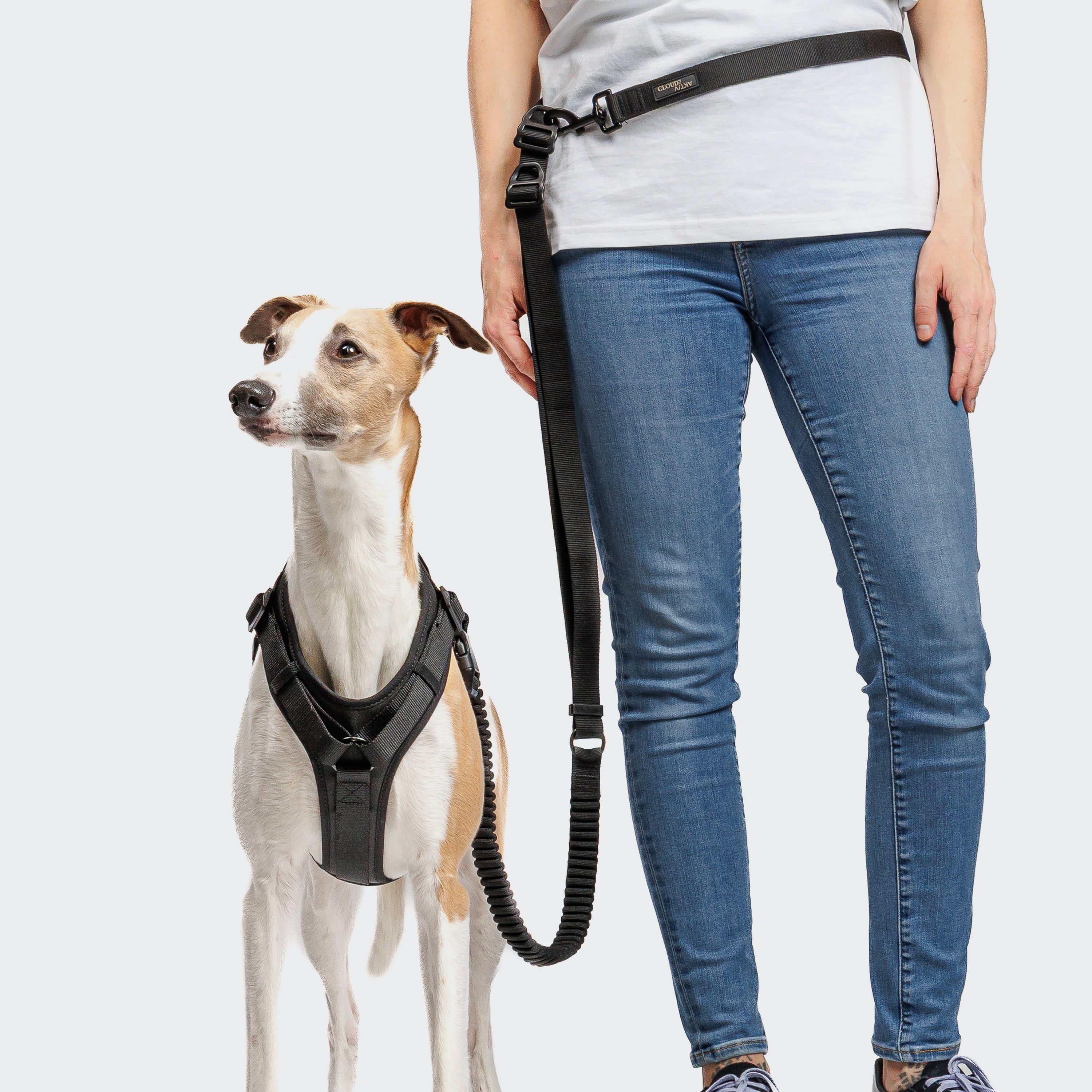 L-2 Jogging Leash taumur - Svartur - Móri