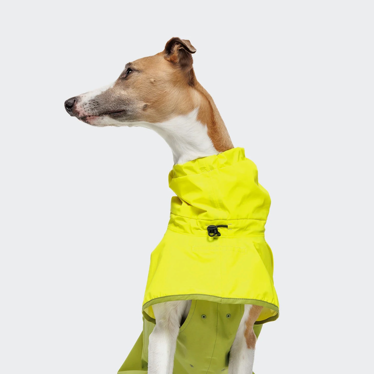 AKTIV Regnjakki með endurskini - Neon green/ light olive