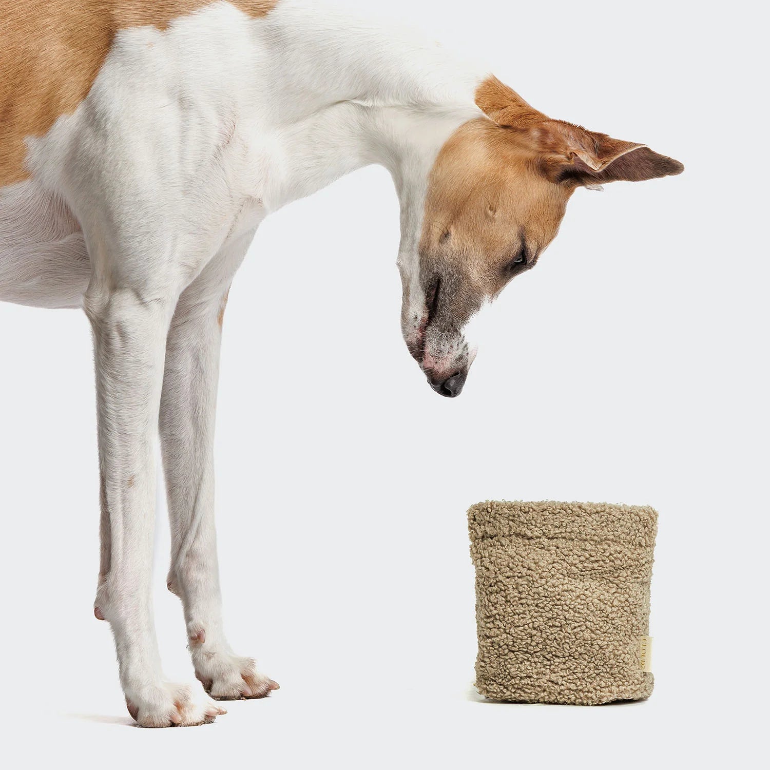 Calgary nammipoki - Plush Beige