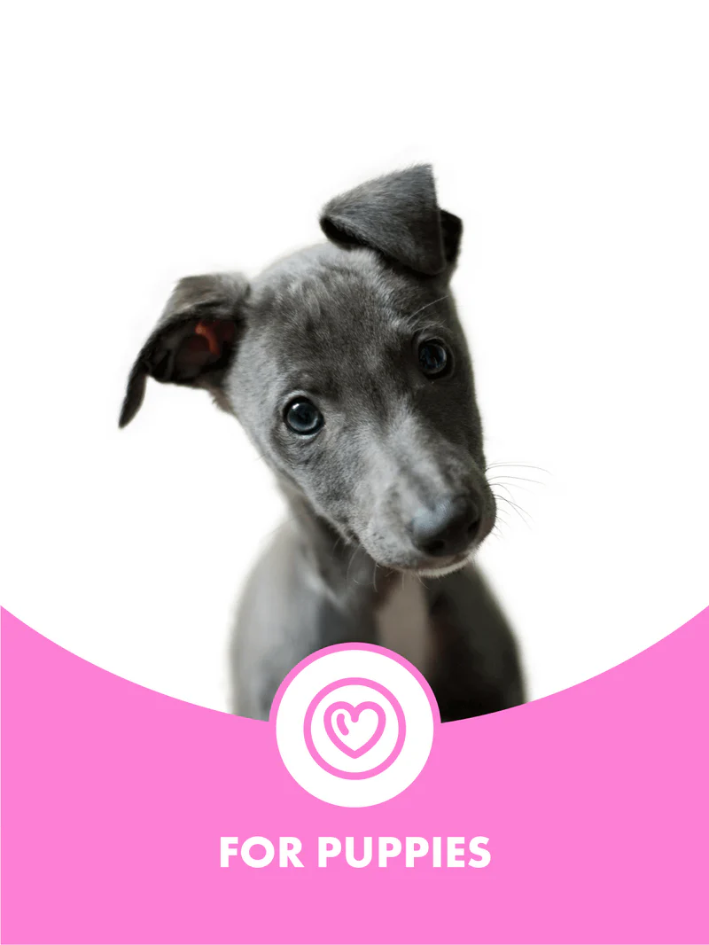 Puppy Shampoo | Róandi sjampó og næring fyrir hvolpa - Móri