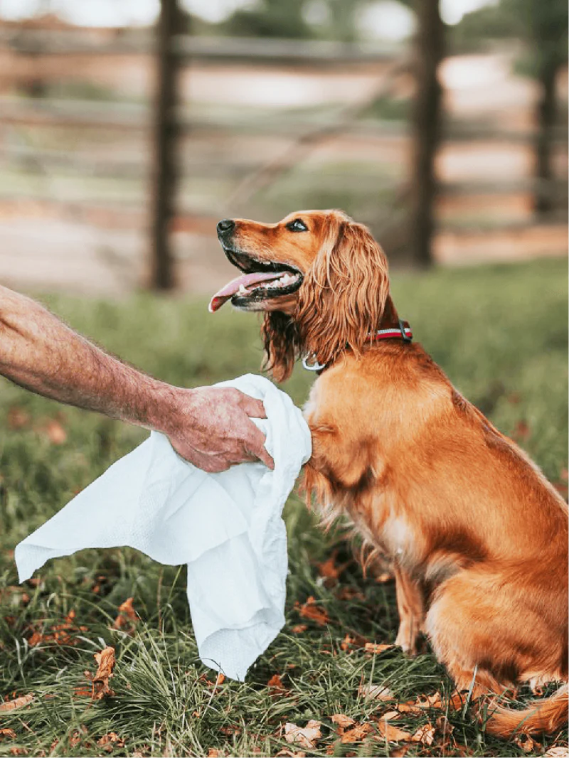 Eco Towels (20stk) | Einnota og umhverfisvæn handklæði fyrir hunda - Móri