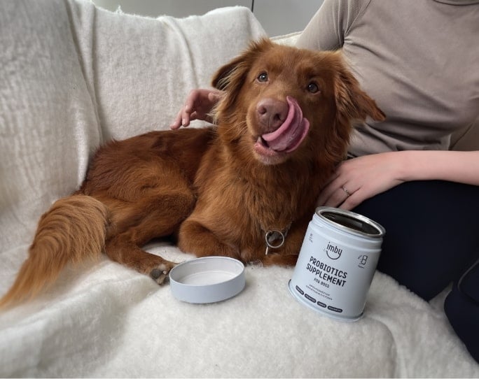 Fæðubótarefni og bætiefni fyrir hunda