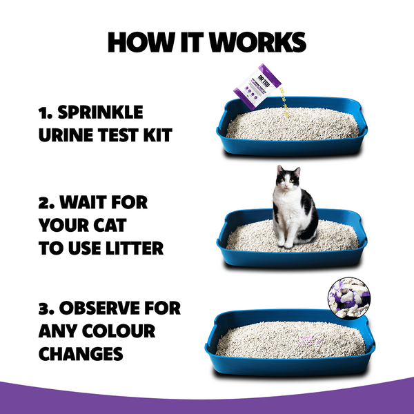 Cat Urine Test Kit Glucose Detector - Próf sem greinir sykursýki í þvagi - Móri