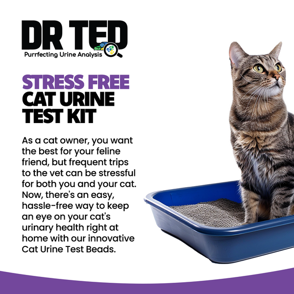 Cat Urine Test Kit Glucose Detector - Próf sem greinir sykursýki í þvagi - Móri