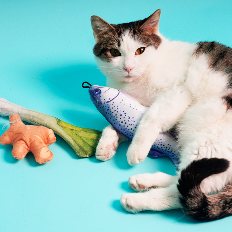 Fiskmeti | Kattaleikfang | 2 litir - Móri