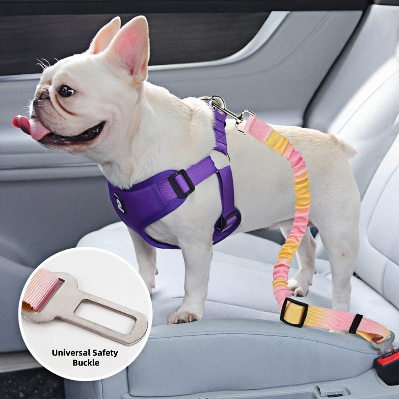 SafeRide | Bílbelti fyrir hunda | 3 litir - Móri