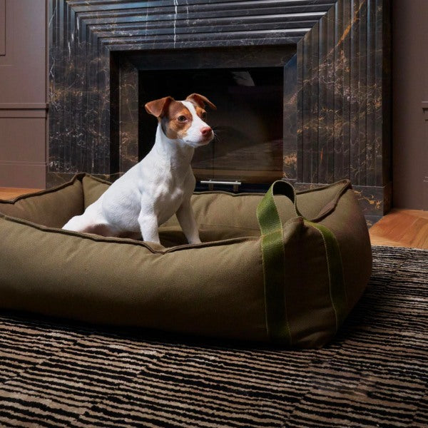 Hundabæli fyrir alla hunda