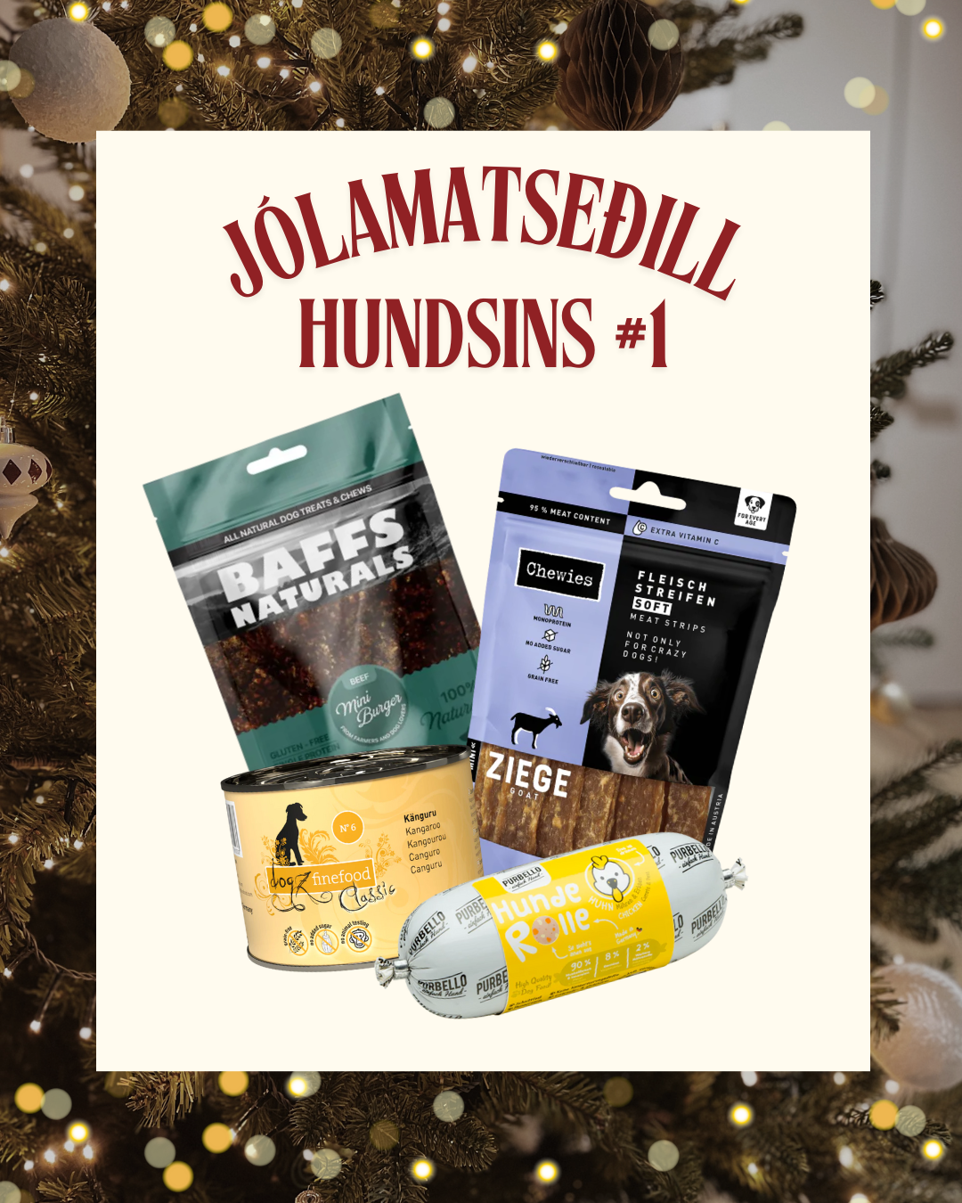 Jólamatseðill hundsins #1
