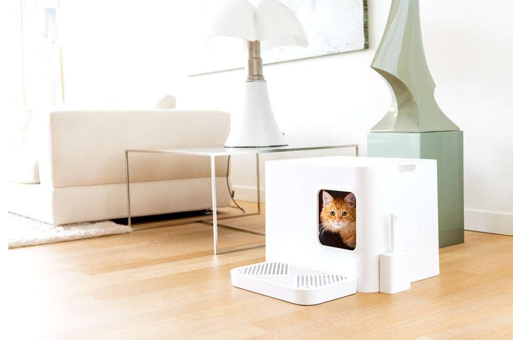 Kattaklósett - kattakassi