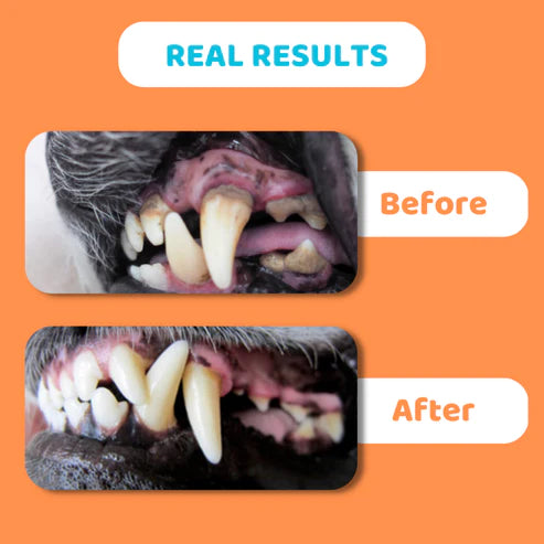 Dental Wipes (50stk) | Hreinsiklútar fyrir tennur hunda - Móri