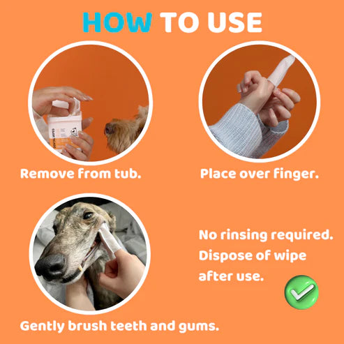 Dental Wipes (50stk) | Hreinsiklútar fyrir tennur hunda - Móri