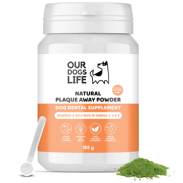 Plaque Away Powder (200g) | Tannsteins eyðir - Móri
