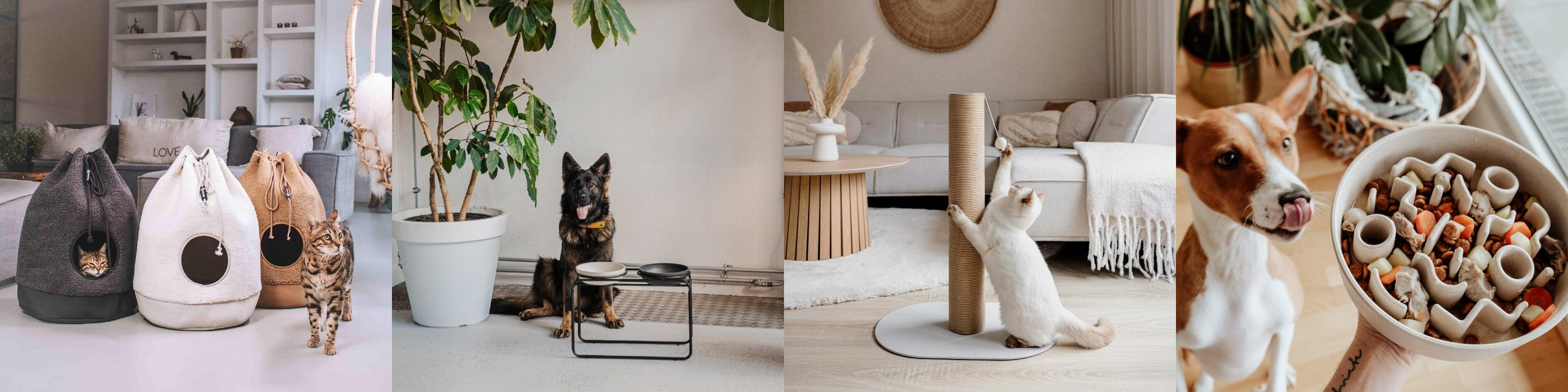 Móri gæudýraverslun