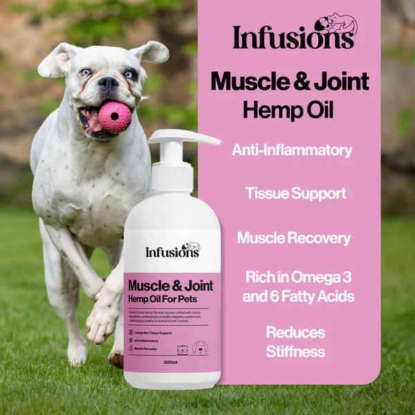Muscle & Joint Hemp Oil (300ml) | Hampolía fyrir hunda og ketti | Fyrir vöðva og liði - Móri