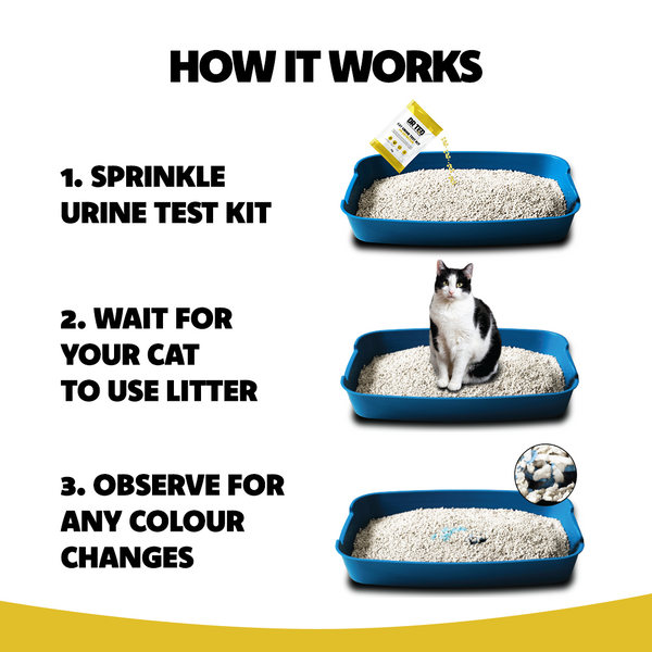 Cat Urine Test Kit Ph Detector - Próf sem greinir pH gildin í þvagi kattarins - Móri