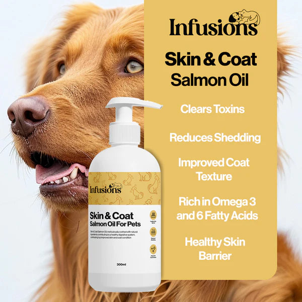 Skin and coat Hemp Oil (300ml) | Hampolía fyrir feld og húð hunda og katta - Móri