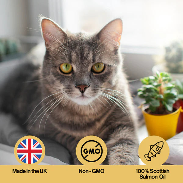 Skin and coat Hemp Oil (300ml) | Hampolía fyrir feld og húð hunda og katta - Móri