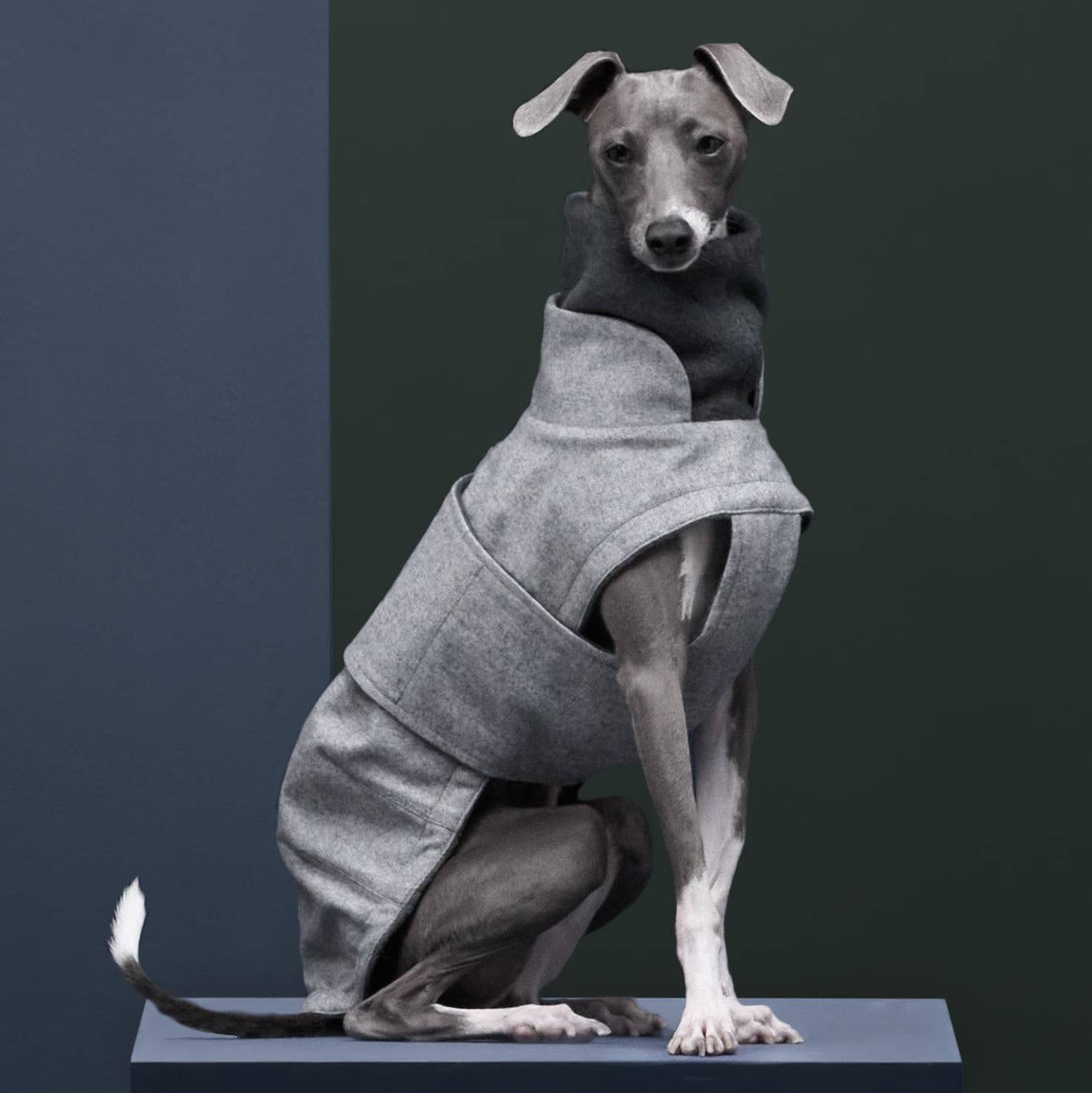 BROOKLYN Italian Greyhound Flannel-jakki Grey - Móri
