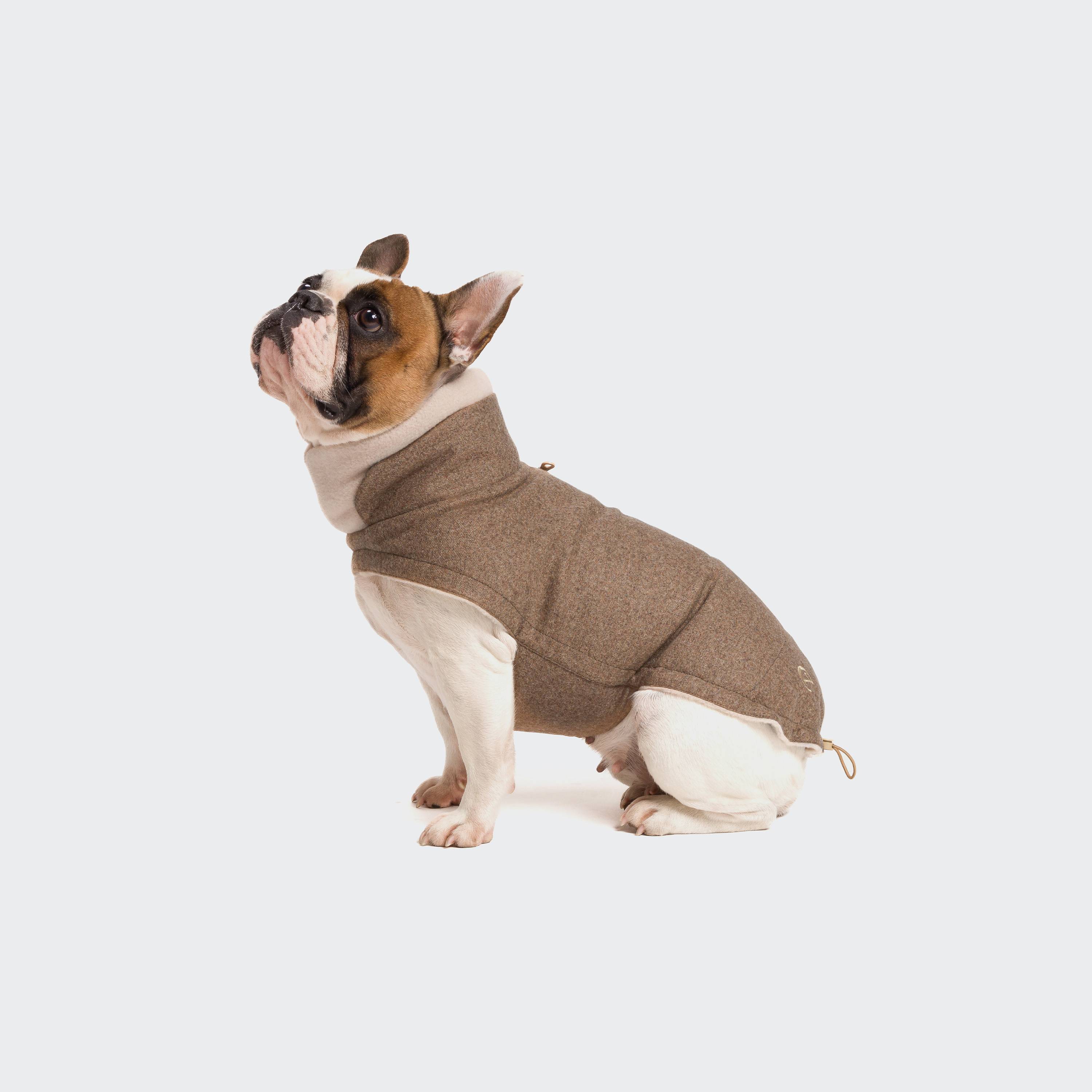 BROOKLYN French Bulldog Flannel-jakki Hazel - Móri