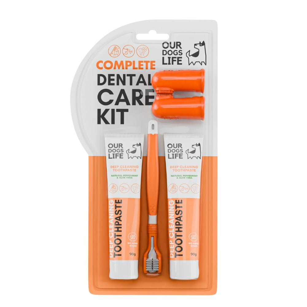 Dental Care Kit | 2 tannkremstúbur, tannbursti og 2 sílikonburstar