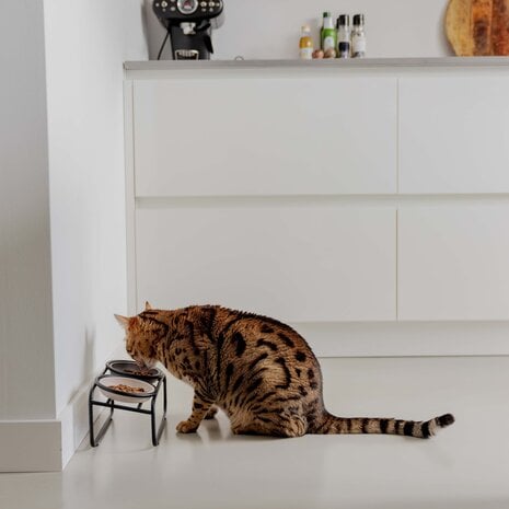 BUTLER Statíf fyrir Bamboo kattaskálar - Móri