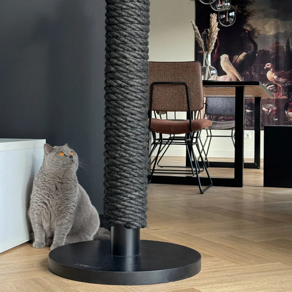 TOTEM klórustaur - Svartur - Móri