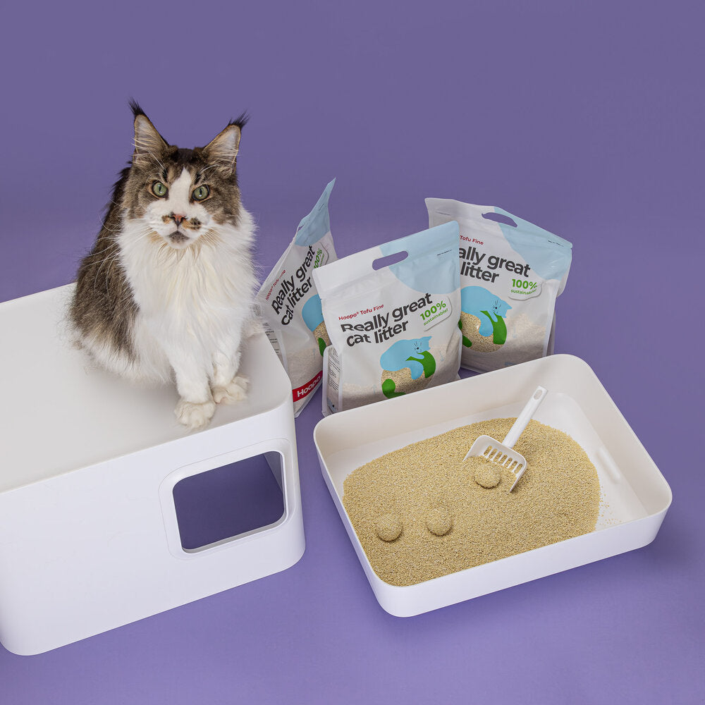 TOFU Fine kattasandur | Umhverfisvænn og má sturta niður - Móri