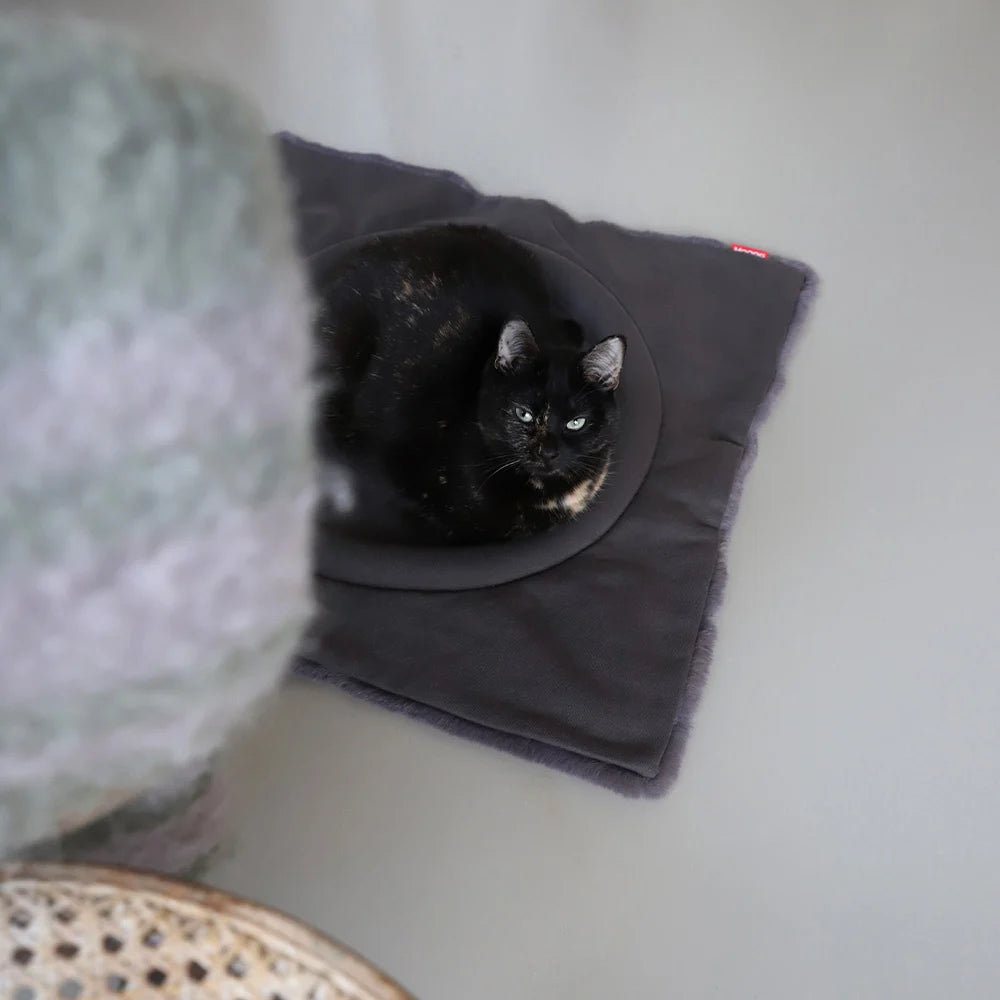 FLIP kattabæli - Dökk grátt - Móri