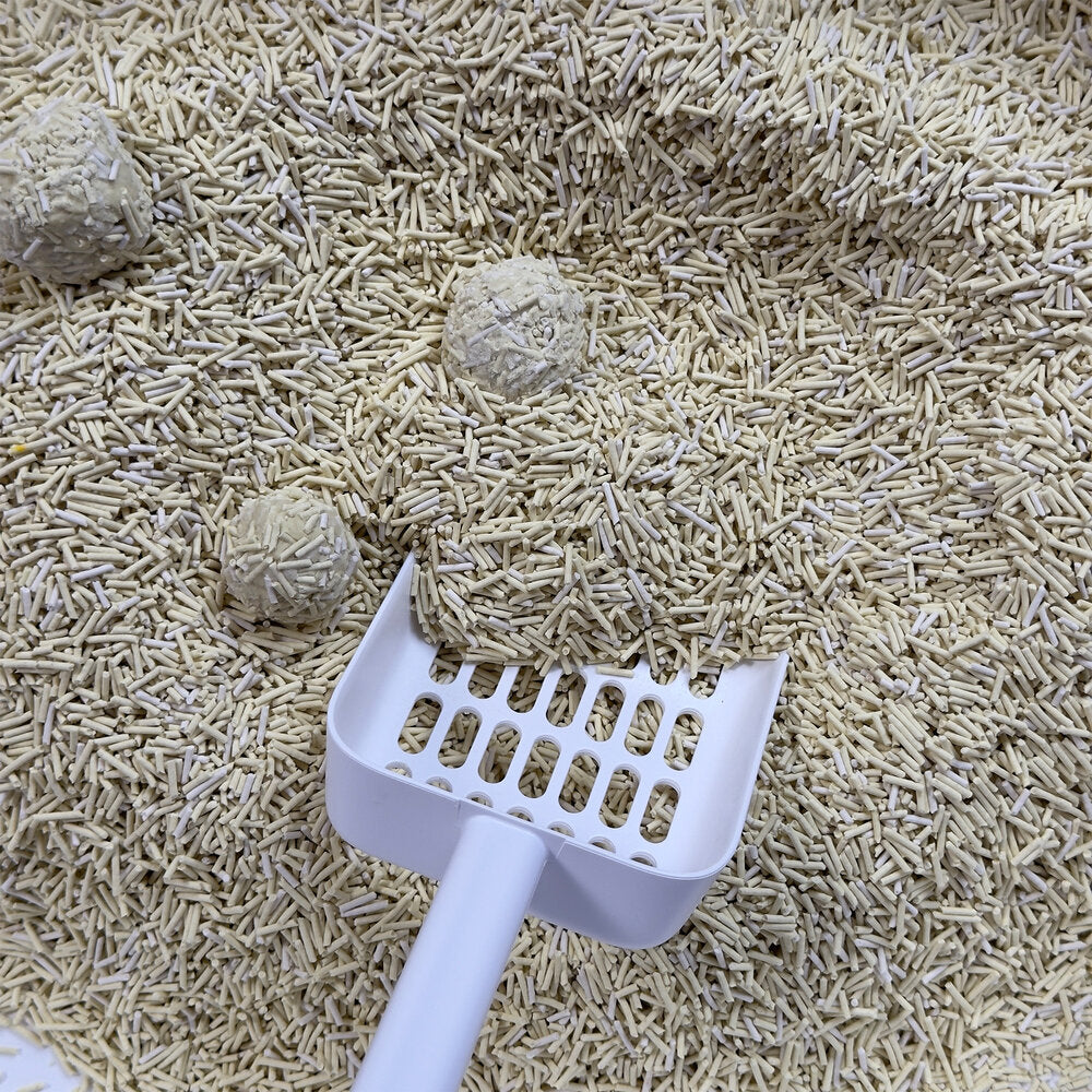 TOFU kattasandur | Umhverfisvænn og má sturta niður - Móri