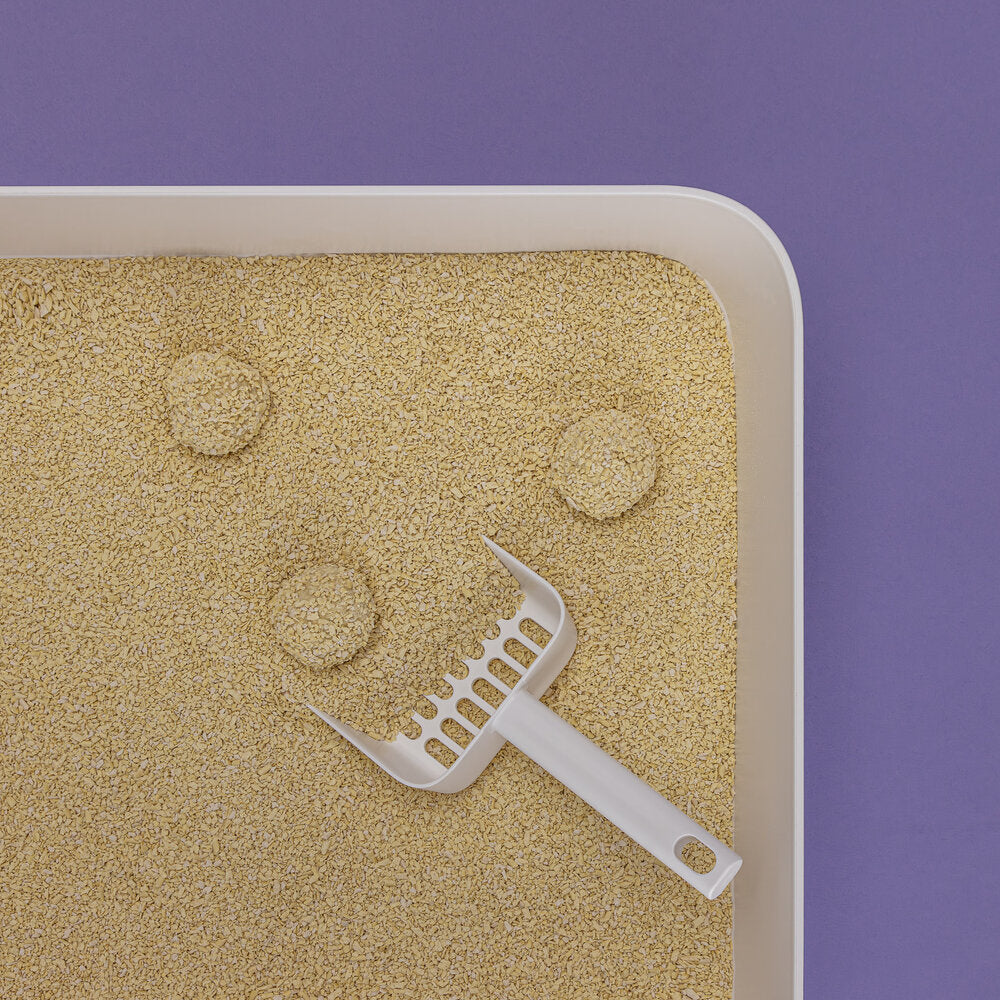 TOFU Fine kattasandur | Umhverfisvænn og má sturta niður - Móri