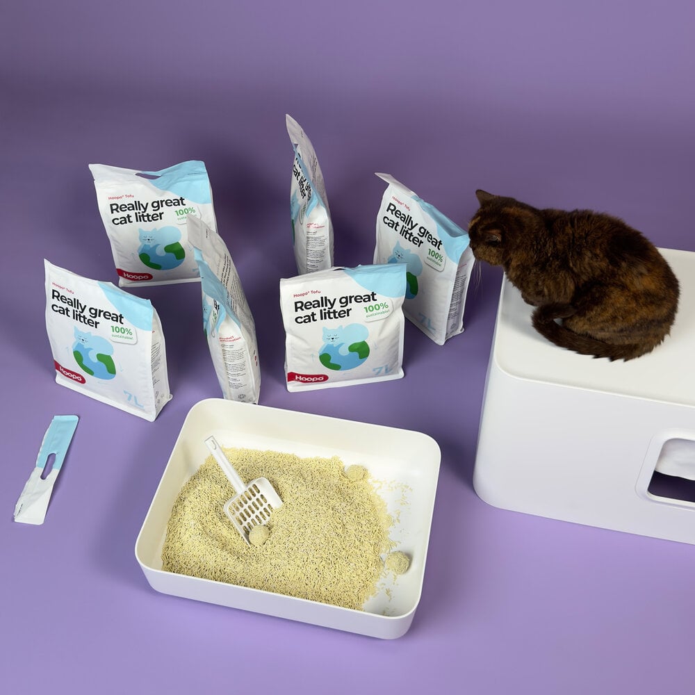 TOFU kattasandur | Umhverfisvænn og má sturta niður - Móri