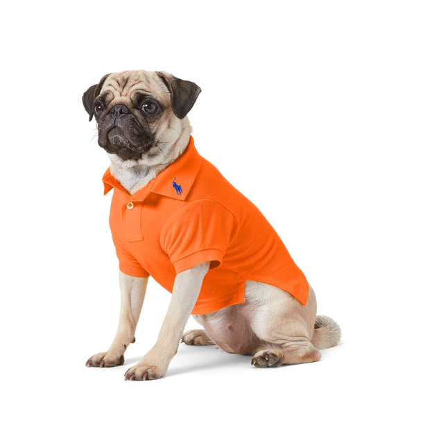 Polo Cotton Mesh Skyrta - Appelsínugul - Móri