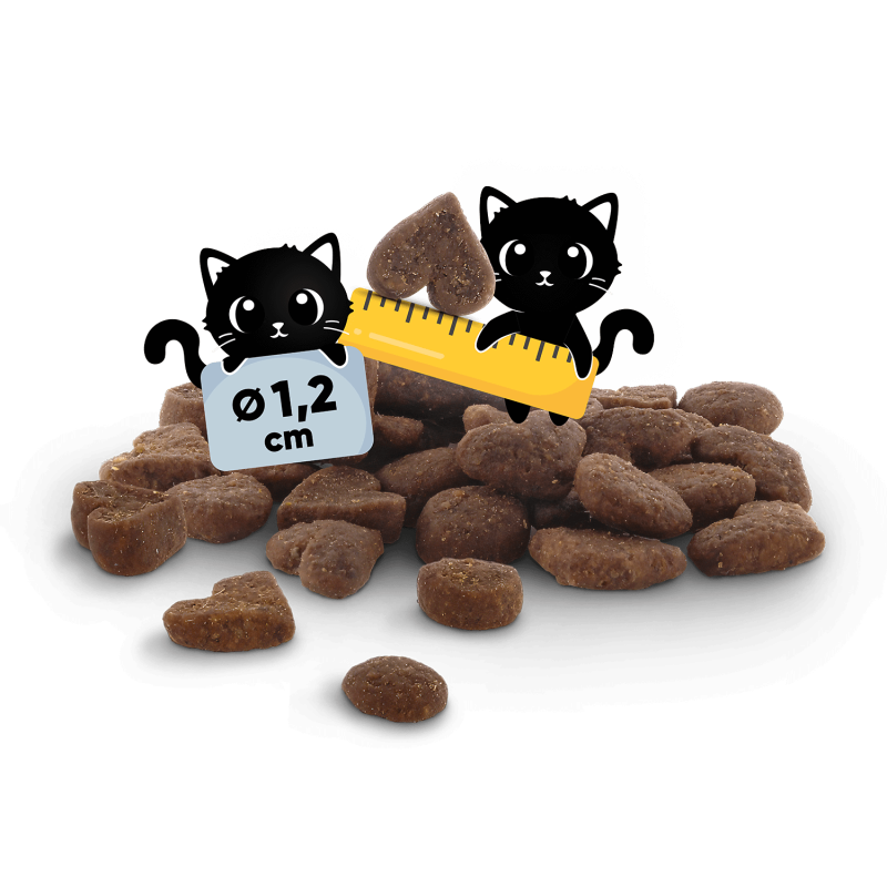 Food Code Adult þurrmatur fyrir ketti | Kjúklingur - Móri