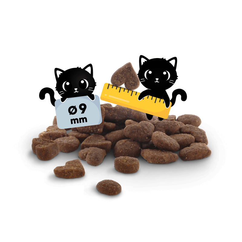 Food Code Kitten þurrmatur fyrir kettlinga | Kjúklingur - Móri