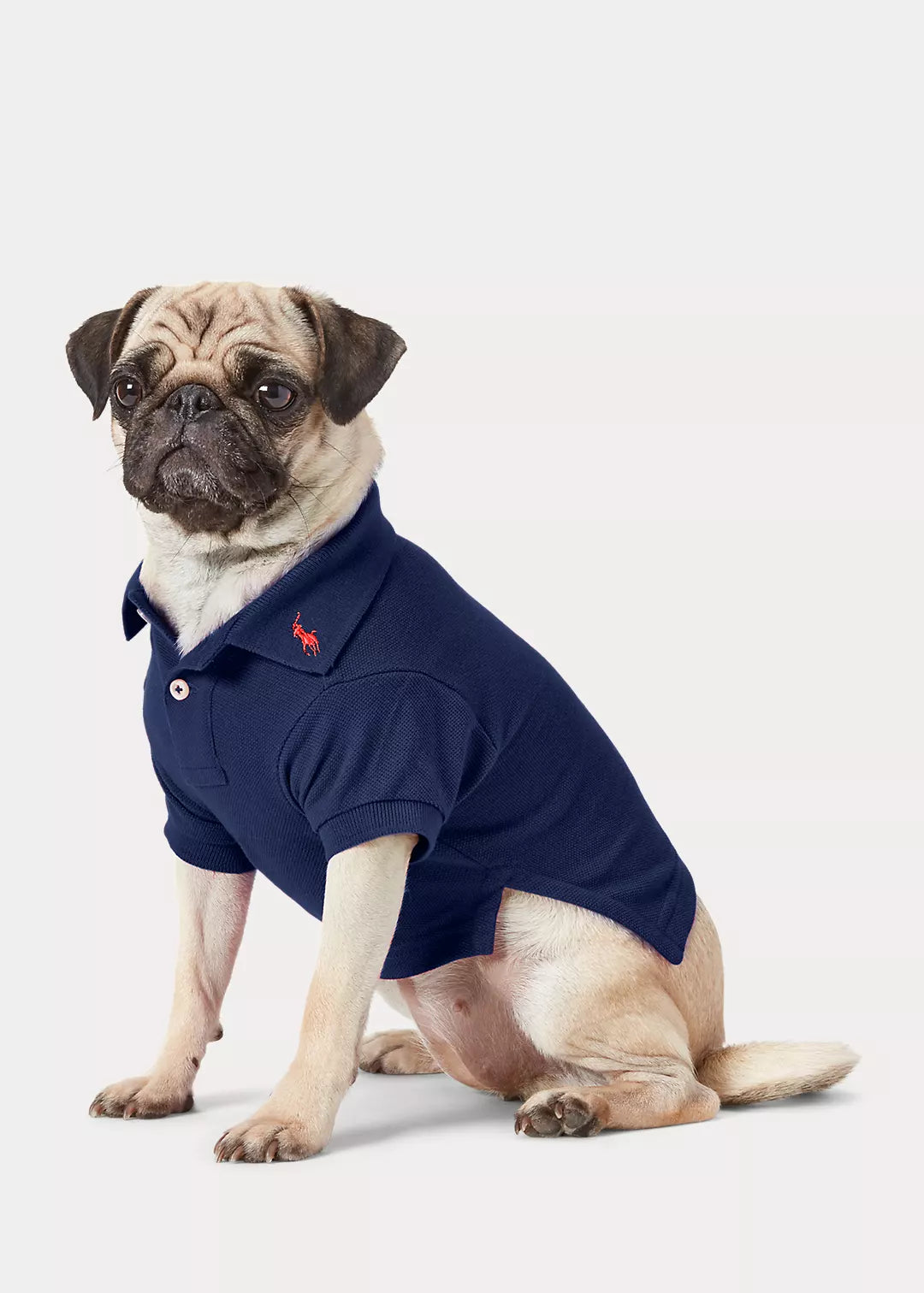 Polo Cotton Mesh Skyrta - Dökkblá - Móri