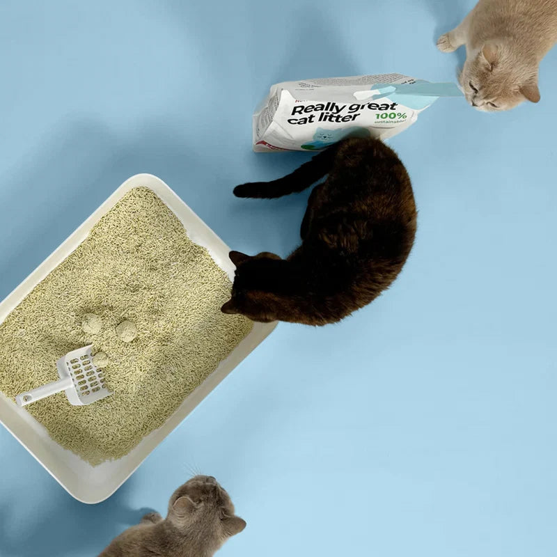 TOFU kattasandur | Umhverfisvænn 17L