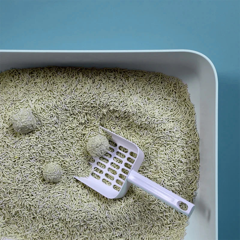 TOFU kattasandur | Umhverfisvænn