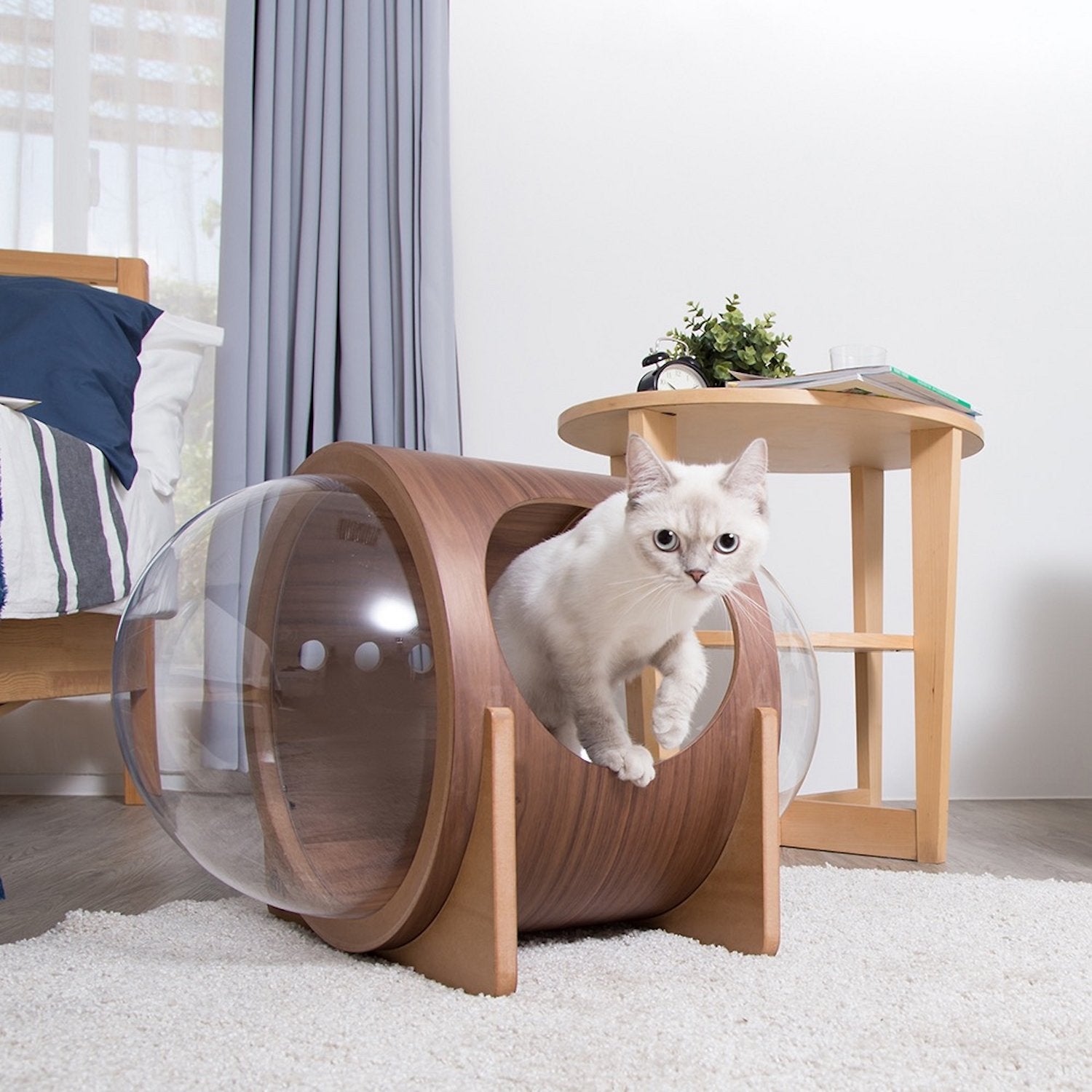 Spaceship Alpha - Hnota - Móri