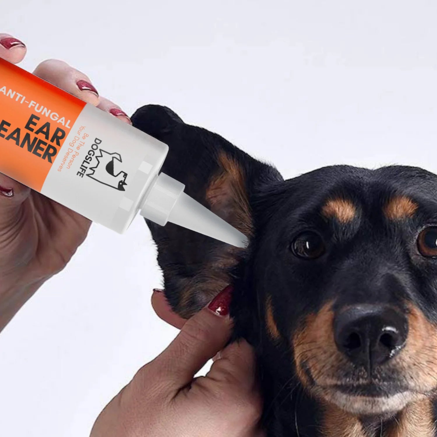 Ear Cleaner (237ml) | Hreinsivökvi fyrir eyru hunda - Móri