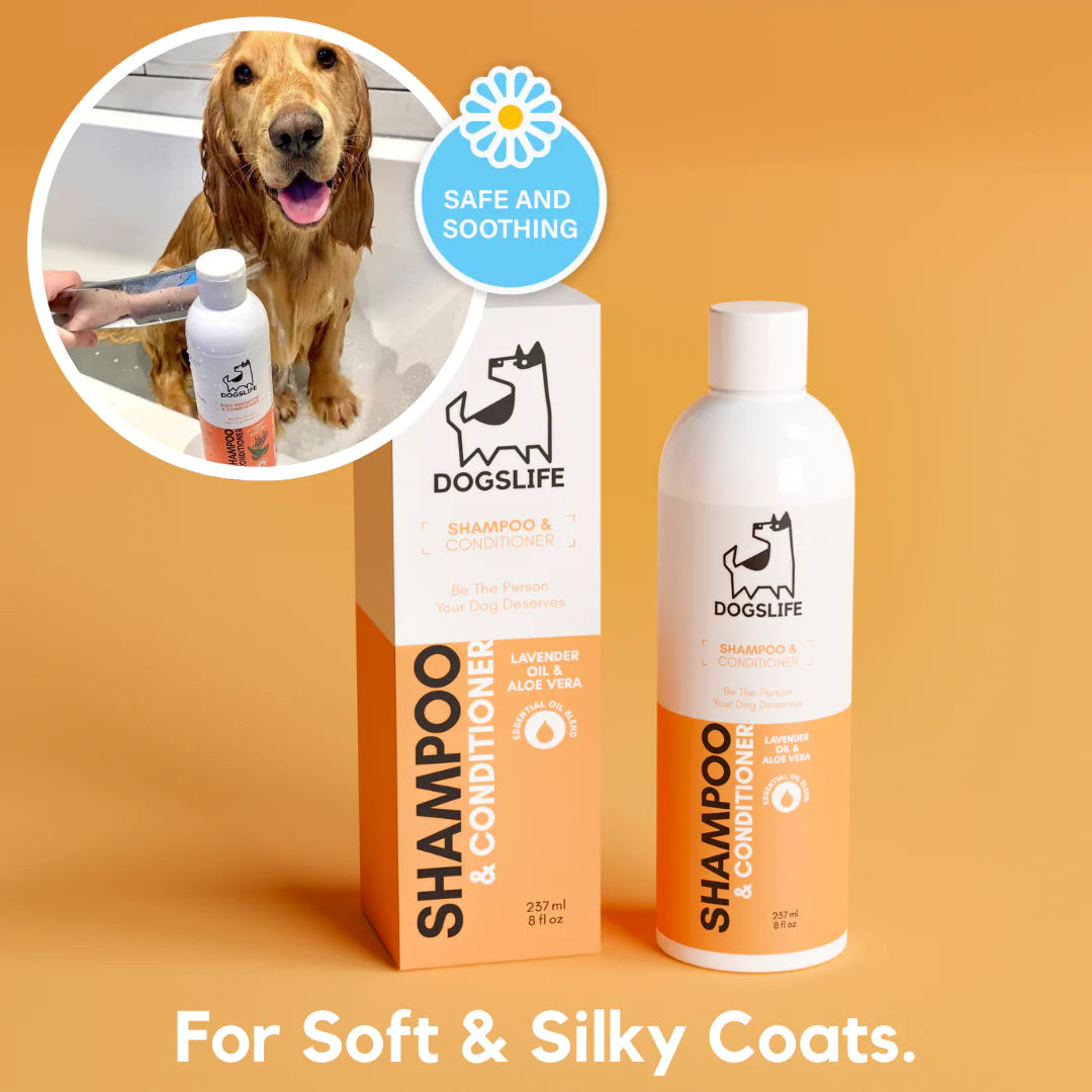 All-In-One Shampoo & Conditioner | Sjampó og næring fyrir hunda - Móri