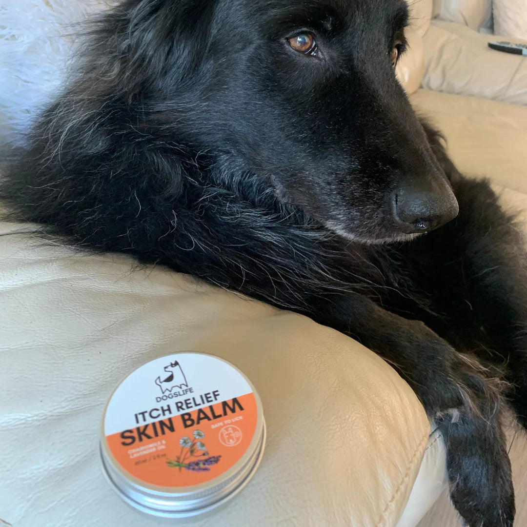 Itch Relief Balm - Kláðastillandi krem - Móri