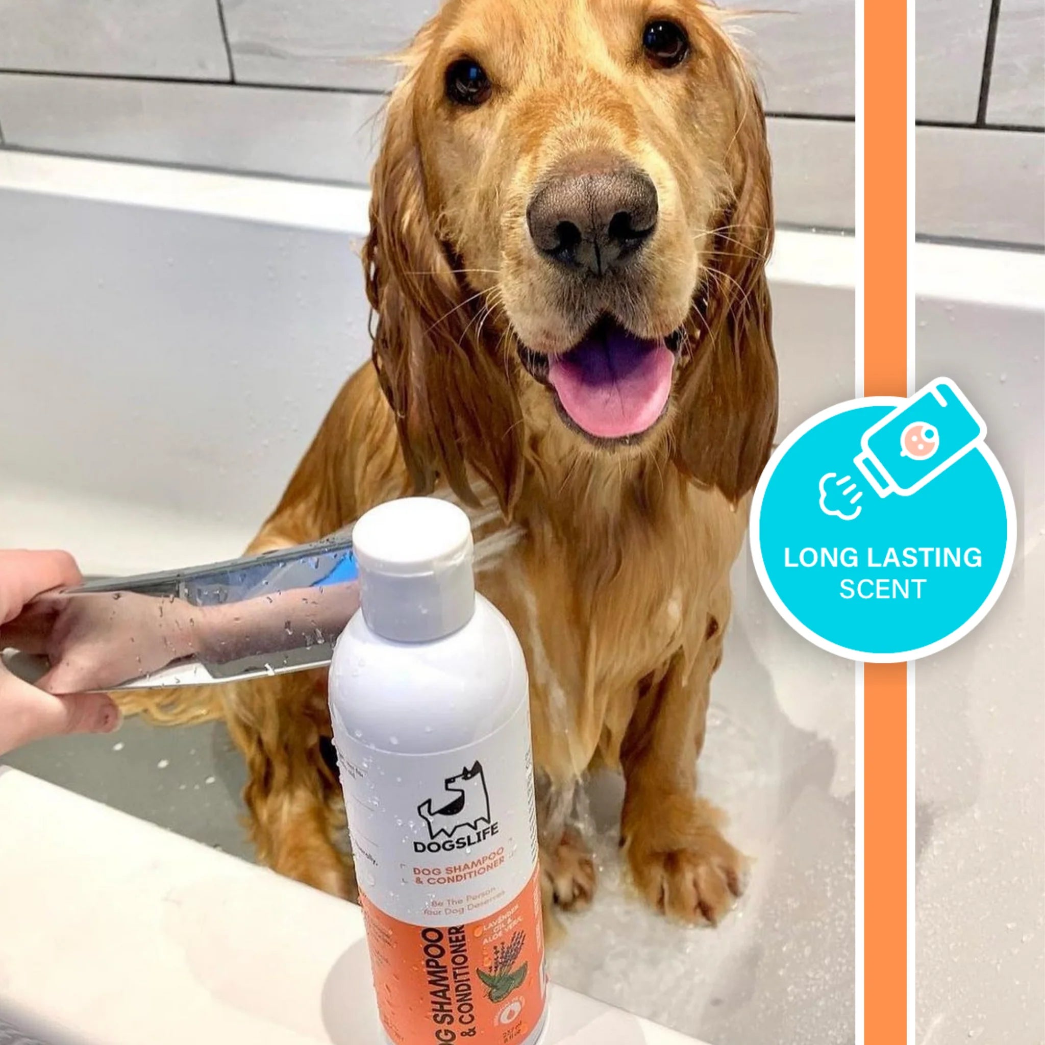 All-In-One Shampoo & Conditioner | Sjampó og næring fyrir hunda - Móri