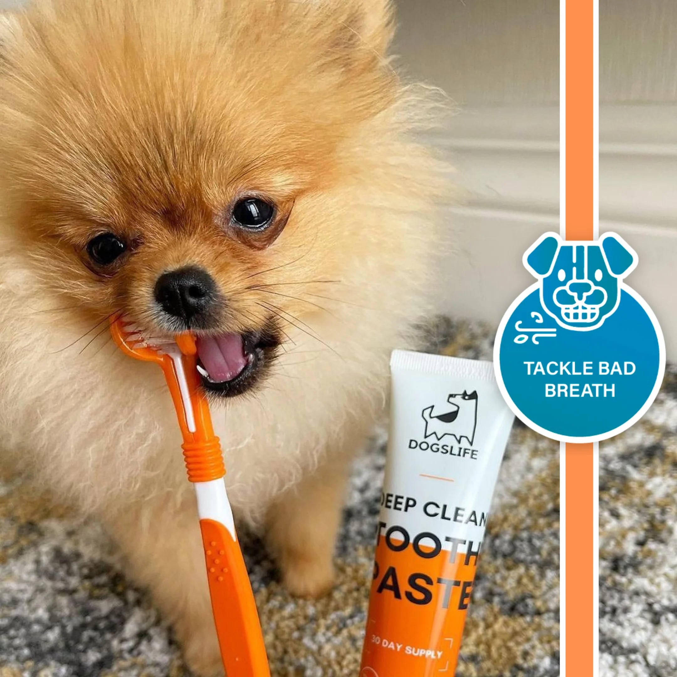 Dental Care Kit | Tannkrem, tannbursti og sílikonbursti - umbúðarlaust - Móri