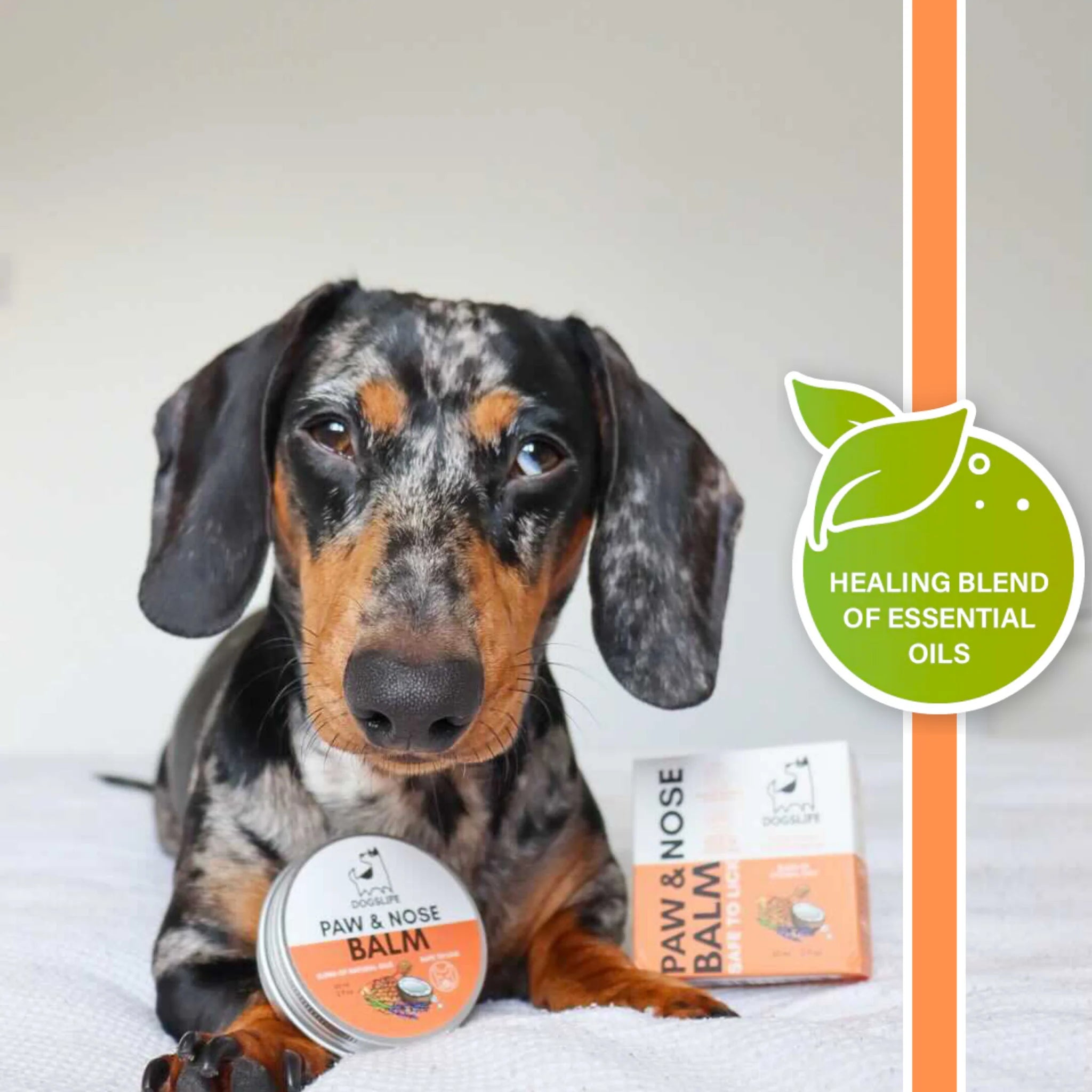 Paw & Nose Balm | Græðandi krem fyrir nef og loppur - Móri
