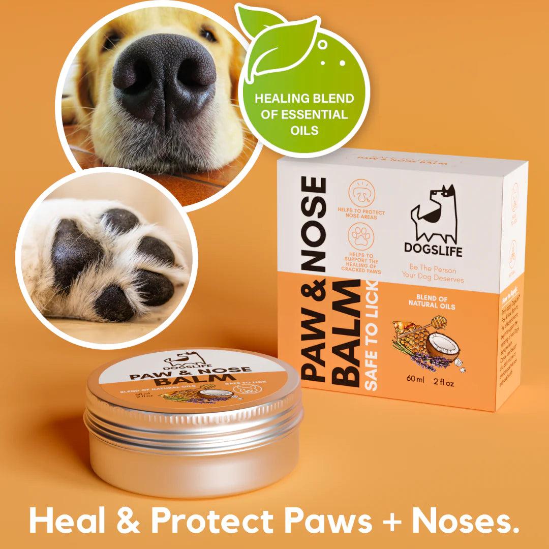 Paw & Nose Balm | Græðandi krem fyrir nef og loppur - Móri