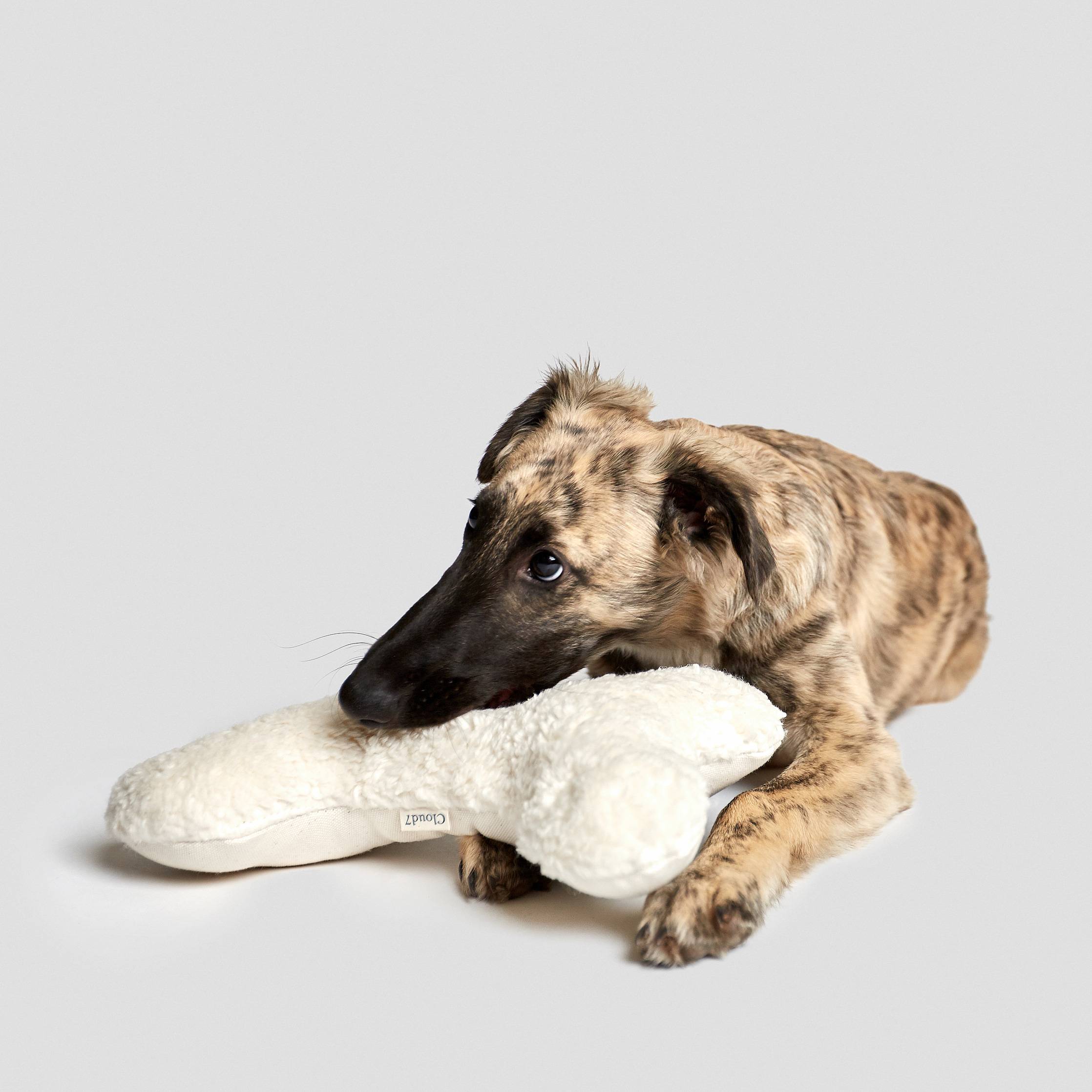 Love Bone Hundaleikfang - Hvítt plush - Móri