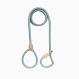 Terrain Series | Training Leash for Dogs | Lake Blue