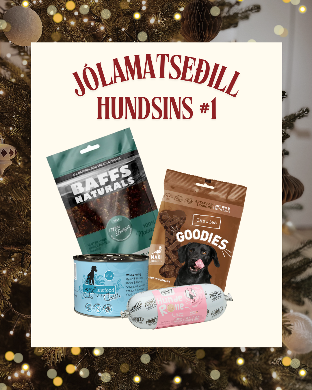 Jólamatseðill hundsins #1