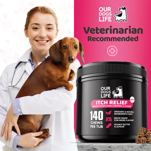 Itch Relief Dog Chews - Kláðastillandi nammibitar - Móri
